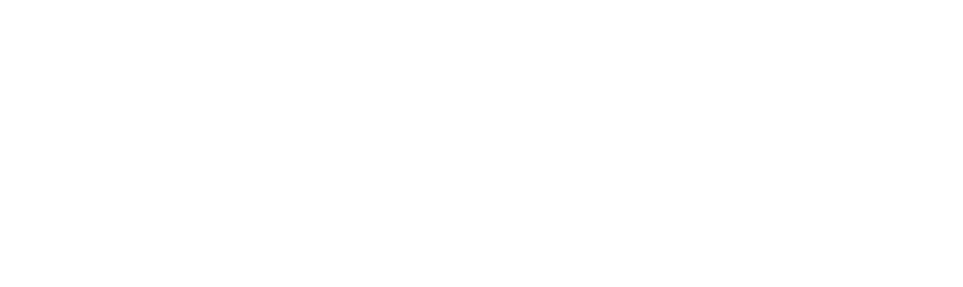 Logo Hollyland